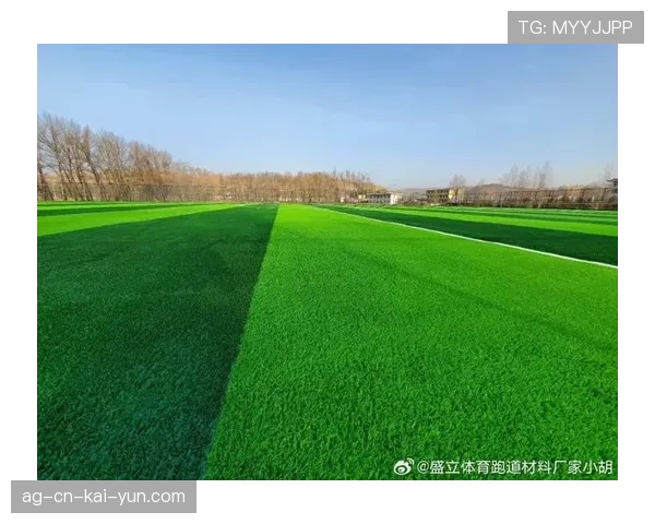 球场硬件升级：新型草皮与跑道评测，球场草皮颜色为什么不一样
